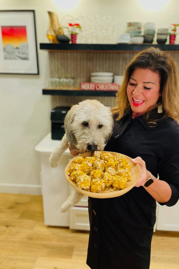 a dog nibbling on a dog biscuit