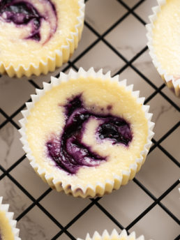 Mini Blueberry Cheesecakes in cupcake tins