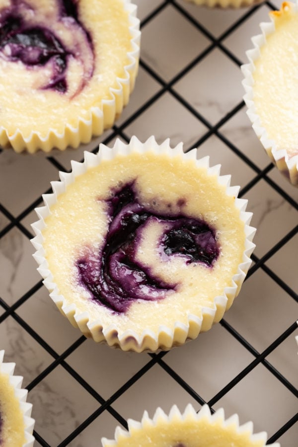 Mini Blueberry Cheesecakes in cupcake tins
