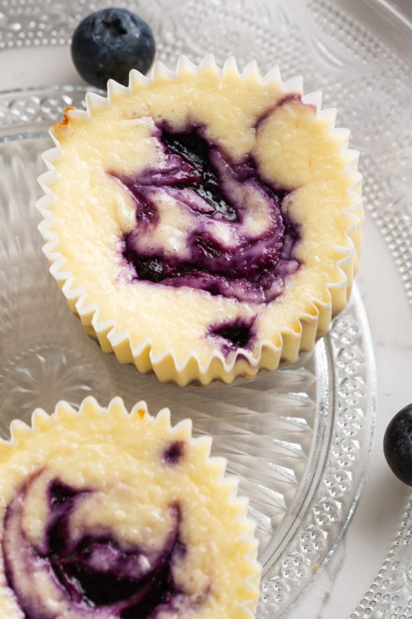 baked mini cheesecake with blueberries