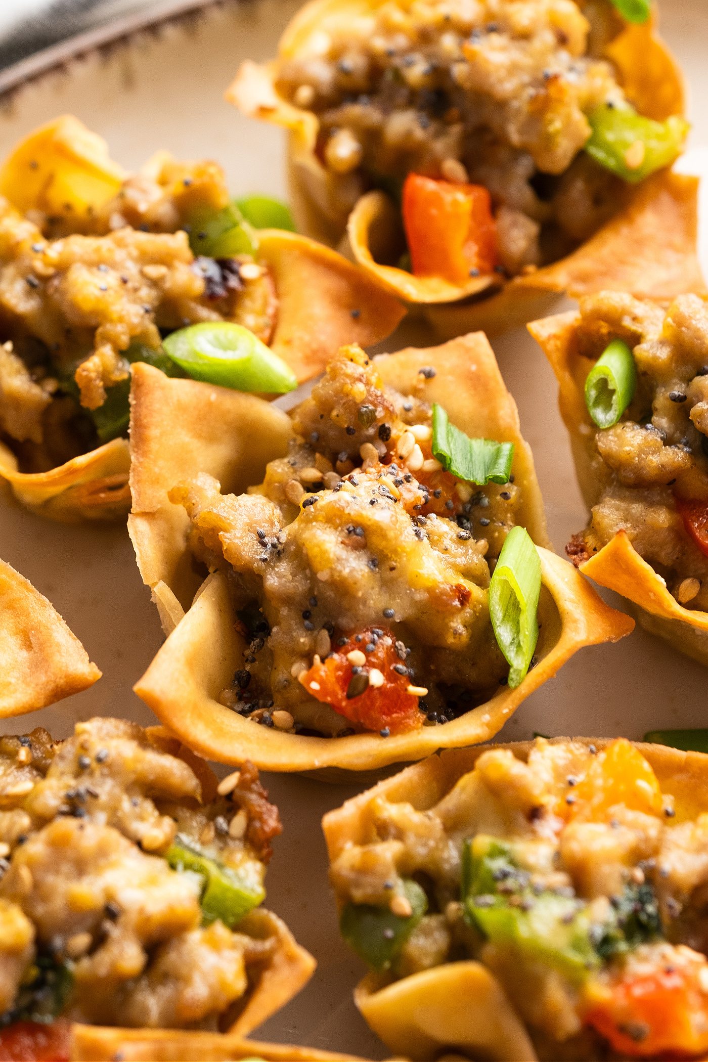 Sausage Wonton Bites Reluctant Entertainer