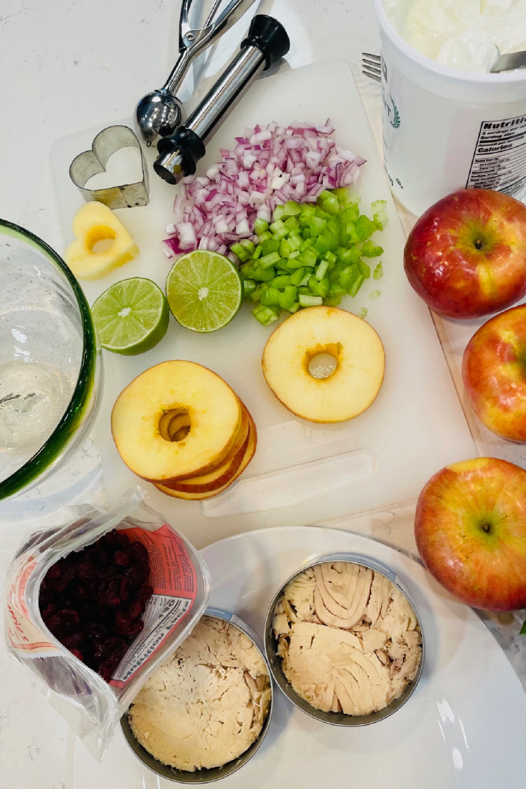 Tuna Apple Salad Reluctant Entertainer