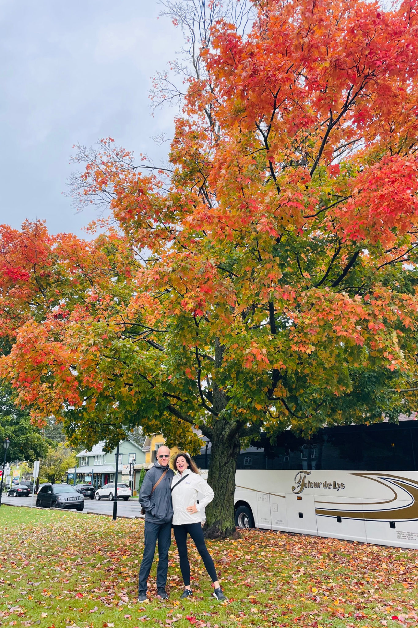 viking cruises to canada new england