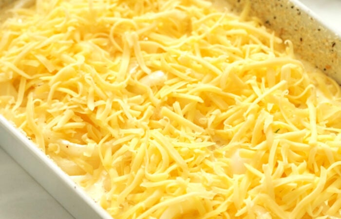 adding cheese to casserole