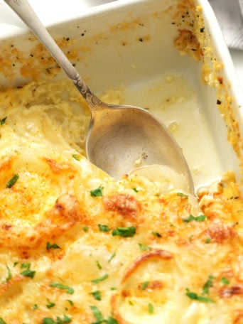 a spoonful of onion casseroles