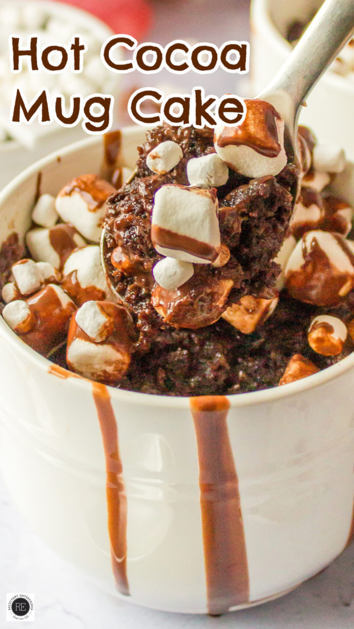 hot gooey mug cake with chocolate