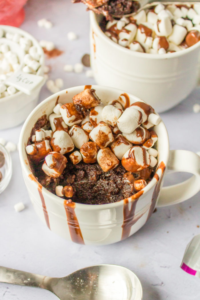 Hot Cocoa Mug Cakes