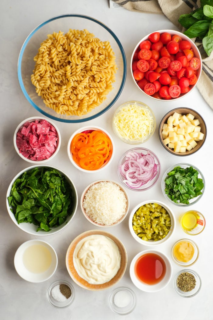 ingredients for pasta dish
