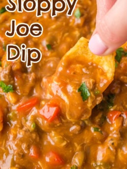 Sloppy Joe Dip - Reluctant Entertainer