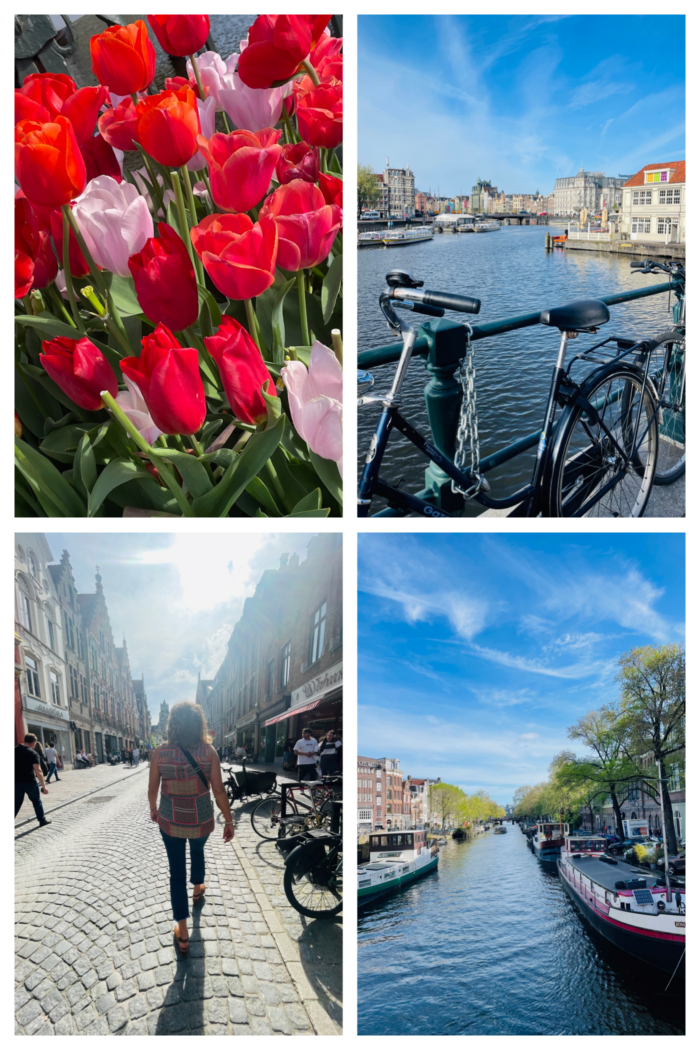 Amsterdam tulips and scenery