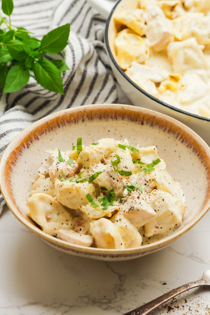 tortellini pasta with chicken creamy alfredo dish