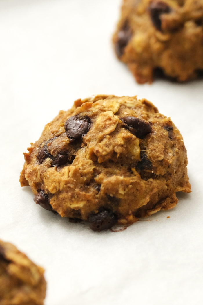 cookie with chocolate chips