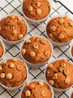 pumpkin muffins