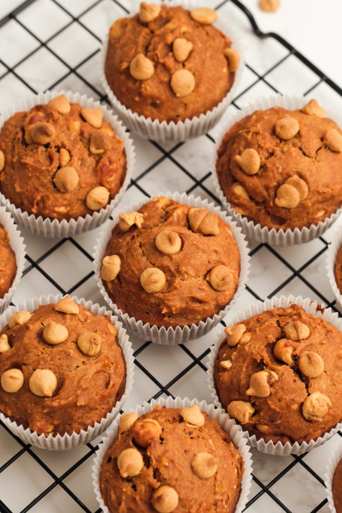 pumpkin muffins