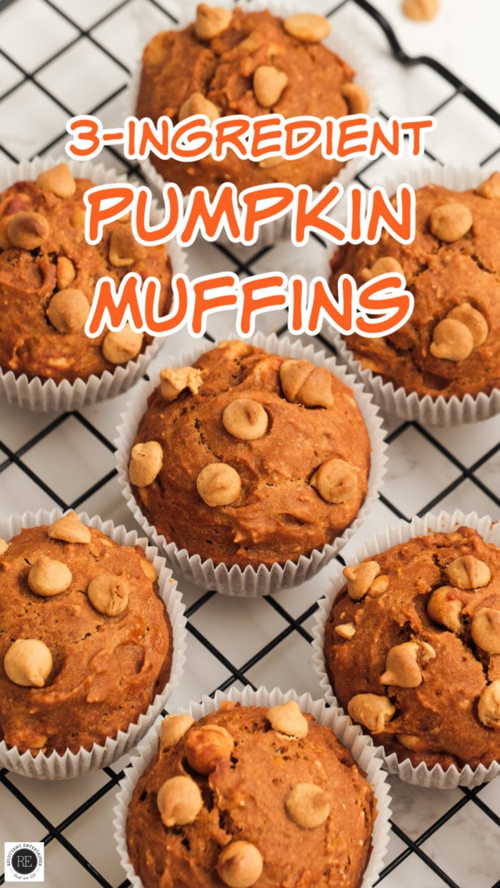 3-ingredient Pumpkin Muffins