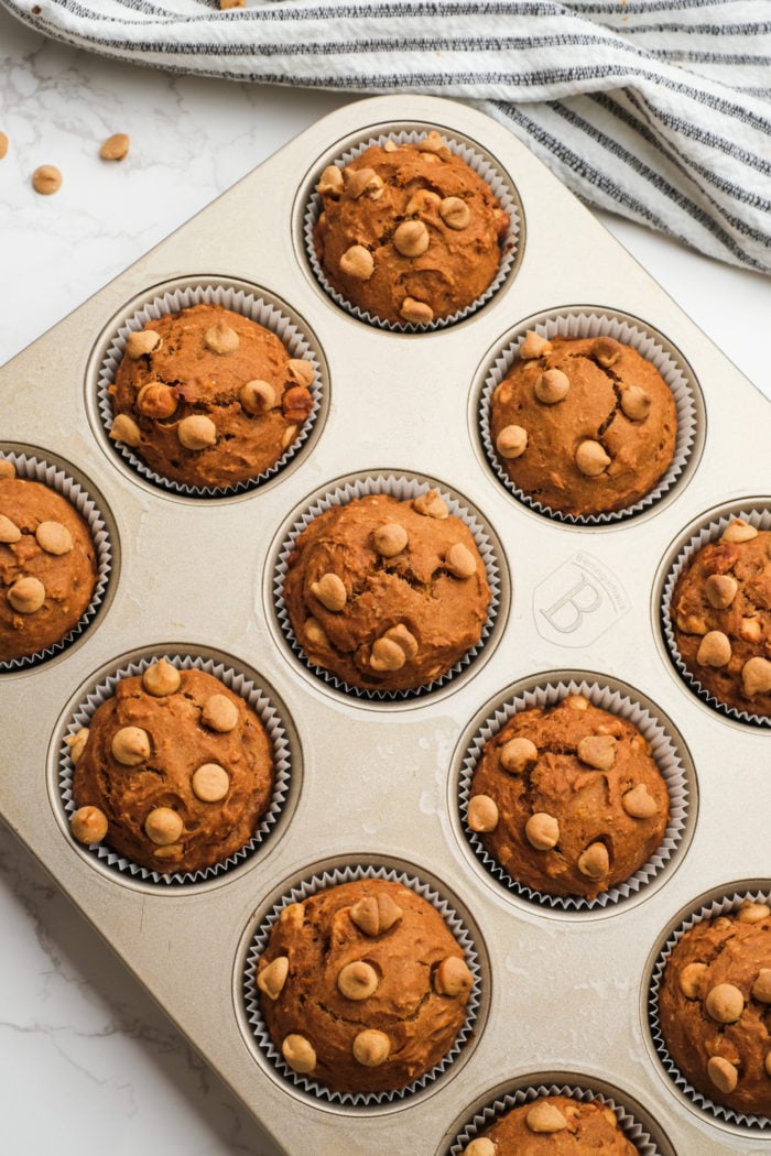 fresh out of oven, muffins with chips