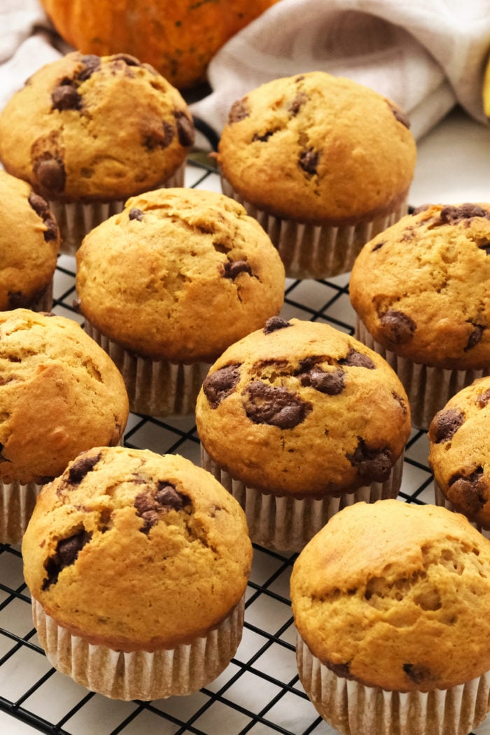 Pumpkin Bread Banana Muffins with cinnamon chips