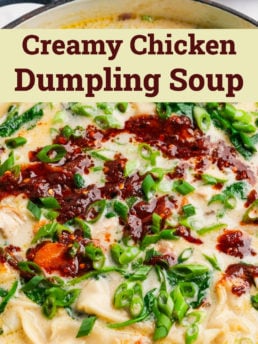 Creamy Chicken Dumpling Soup