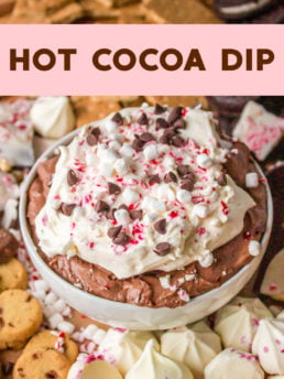 Hot Cocoa Dip