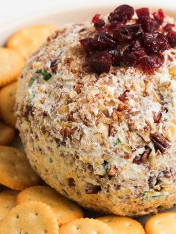 a cranberry cheese ball with dried cranberries