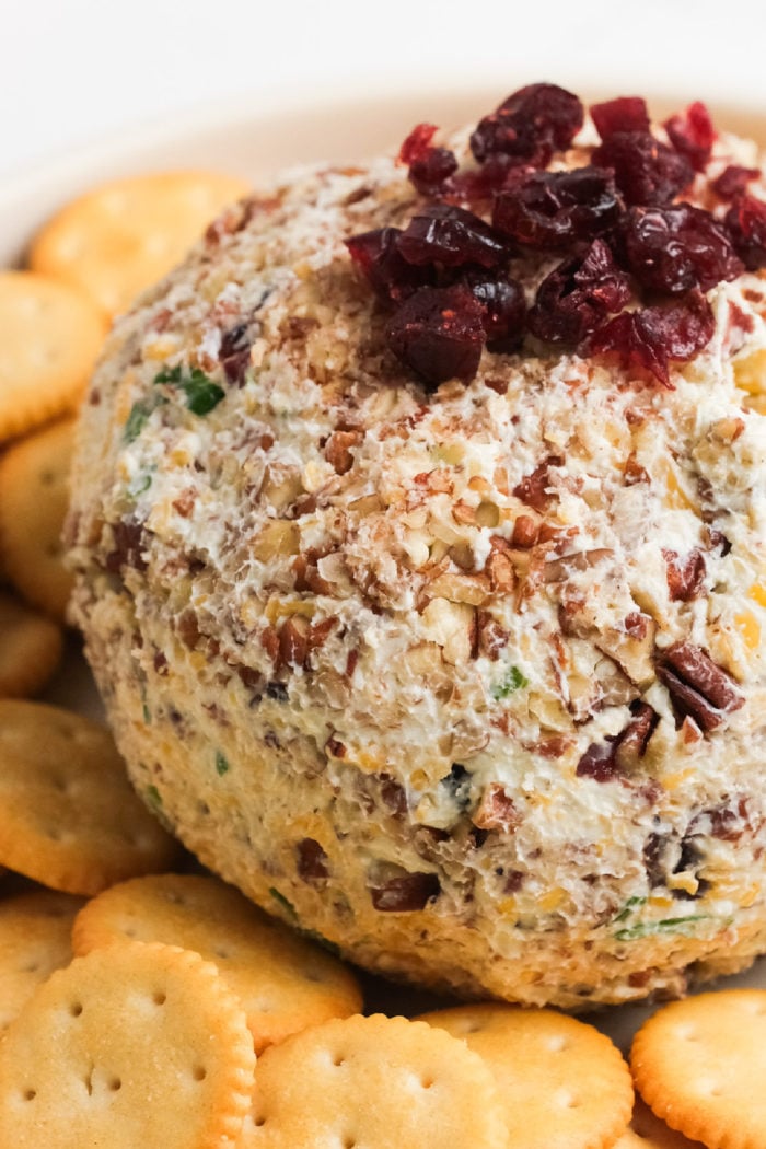 a cranberry cheese ball with dried cranberries