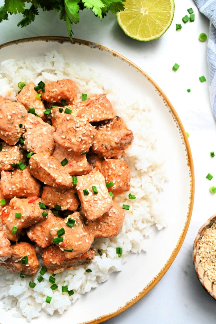 salmon and rice