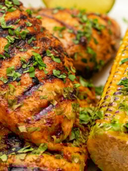 Mexican Chicken Marinade sprinkled with fresh cilantro