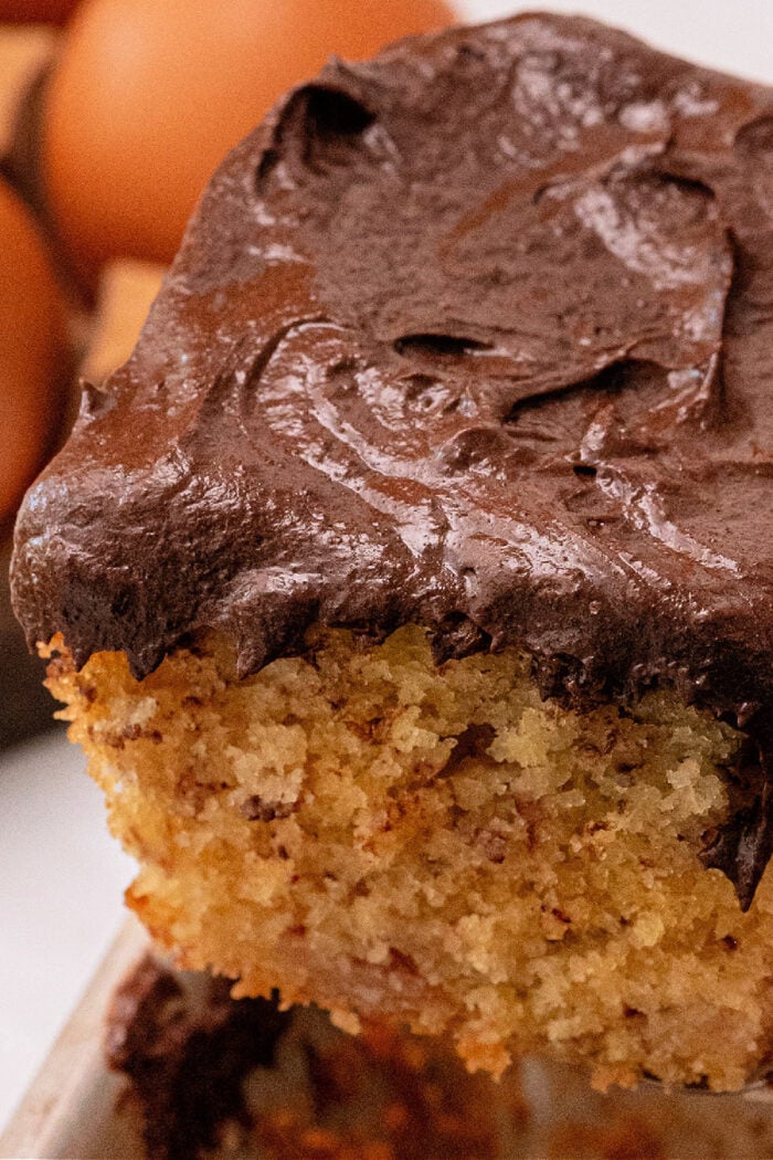 Banana Cake with Chocolate Icing
