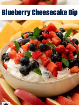 Blueberry Cheesecake Dip Recipe