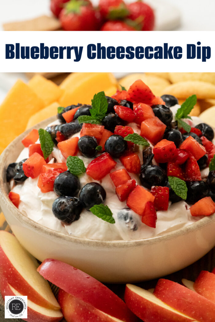 Blueberry Cheesecake Dip Recipe