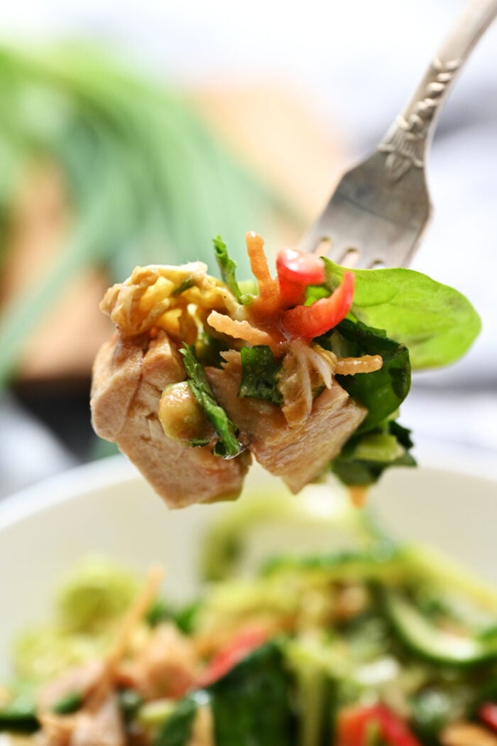 a bite of Asian Crunch Salad