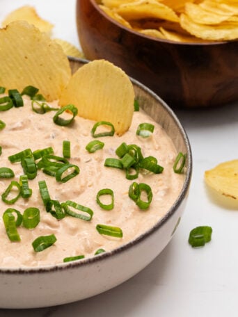 Boat Dip Recipe with green onions