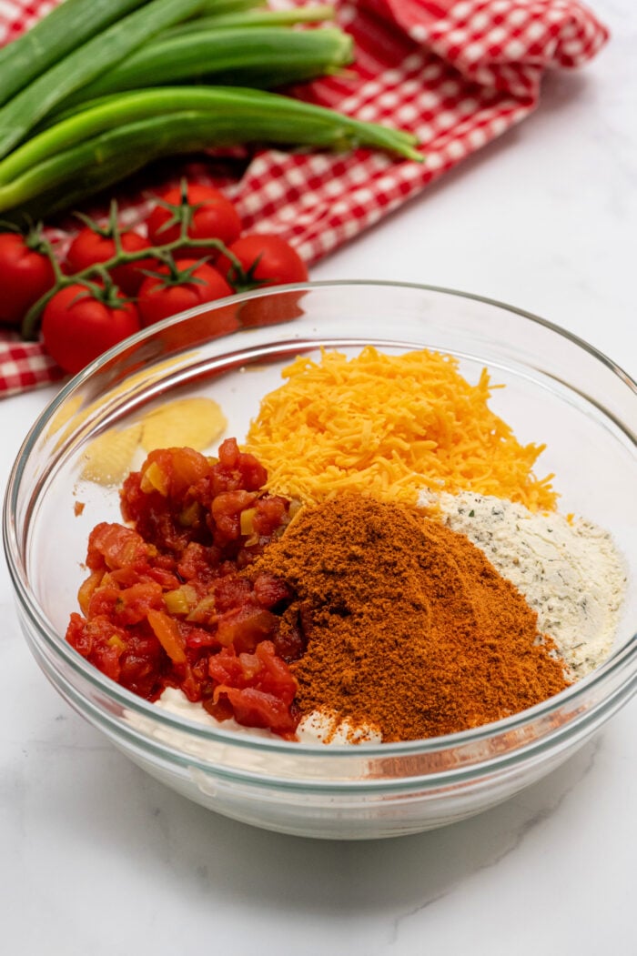ingredients to make Boat Dip with Rotel