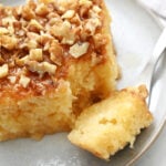 a moist bite of Easy Granny Cake