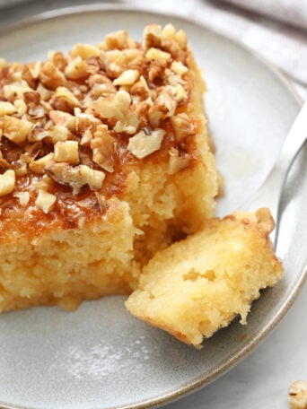 a moist bite of Easy Granny Cake