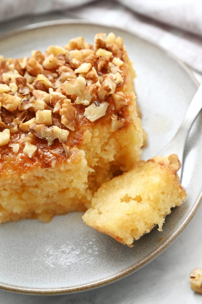 a moist bite of Easy Granny Cake