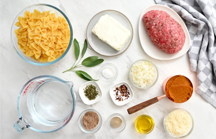 ingredients to make Creamy Italian Sausage Pasta (with Pumpkin Sauce)