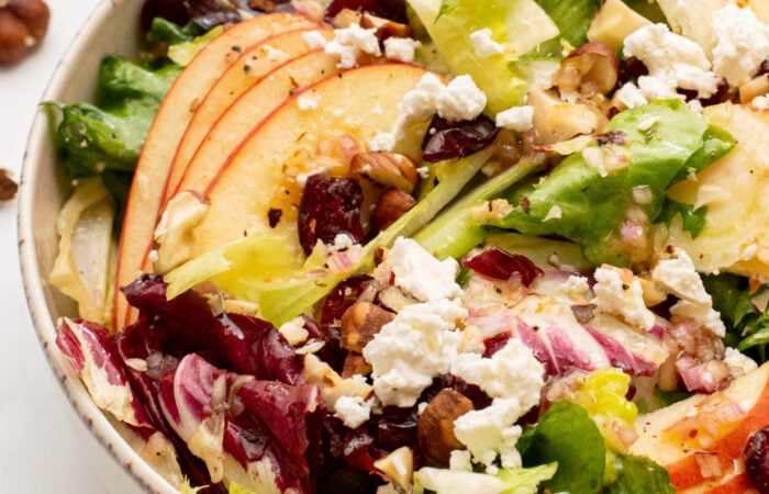 apples, cranberries, cheese on a salad
