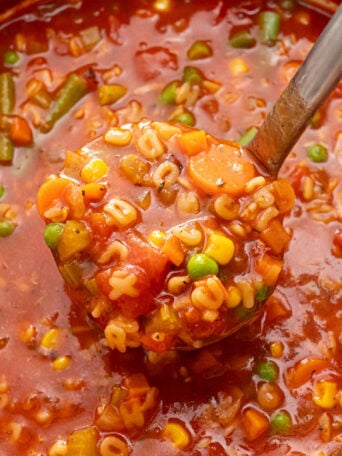 ladle of veggiei soup