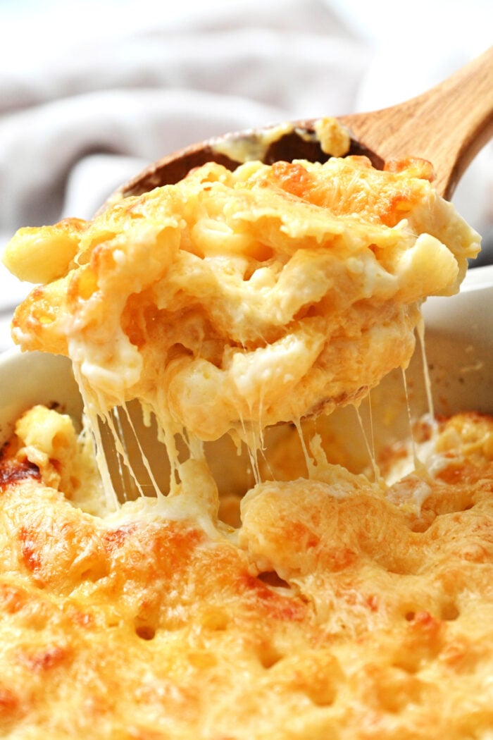 a spoonful of cheesy pasta