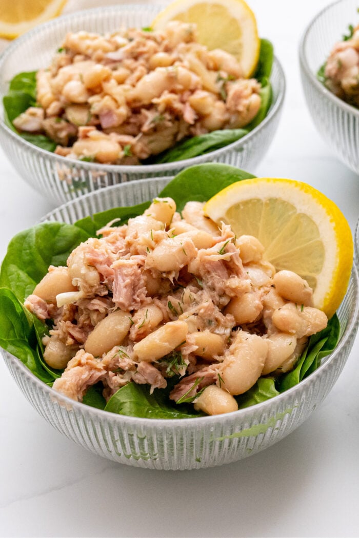 Tuna and Bean Salads