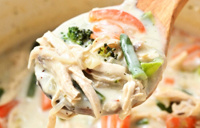 shredded creamy chicken