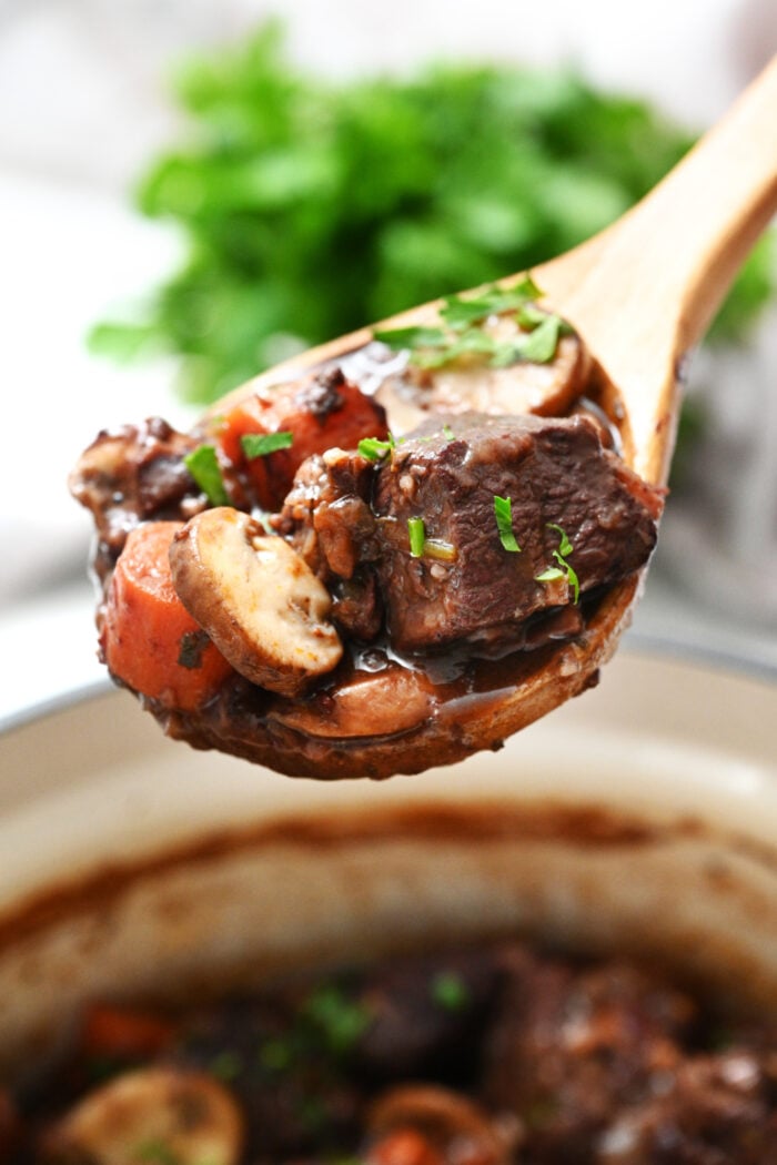 a bite of Beef Bourguignon