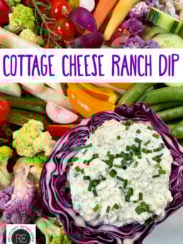 Cottage Cheese Ranch Dip