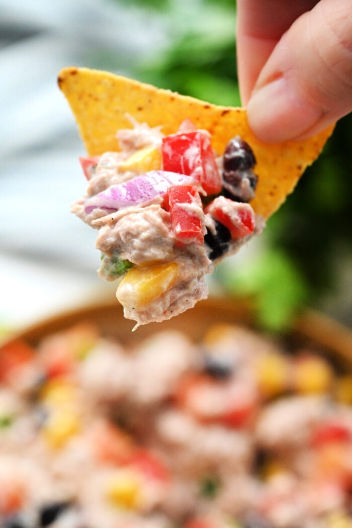 a tortilla chip with tuna dip