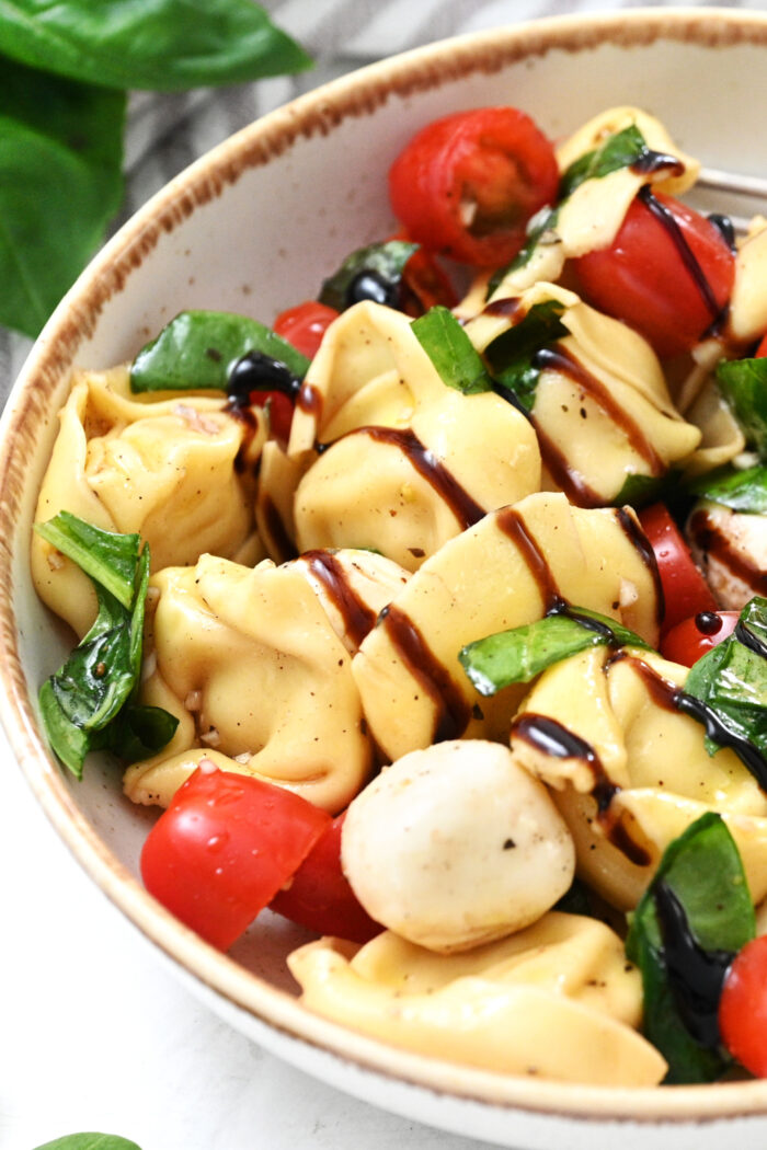 pasta salad with cheese