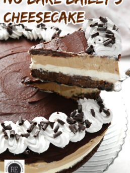 a serving of Bailey's No Bake Cheesecake