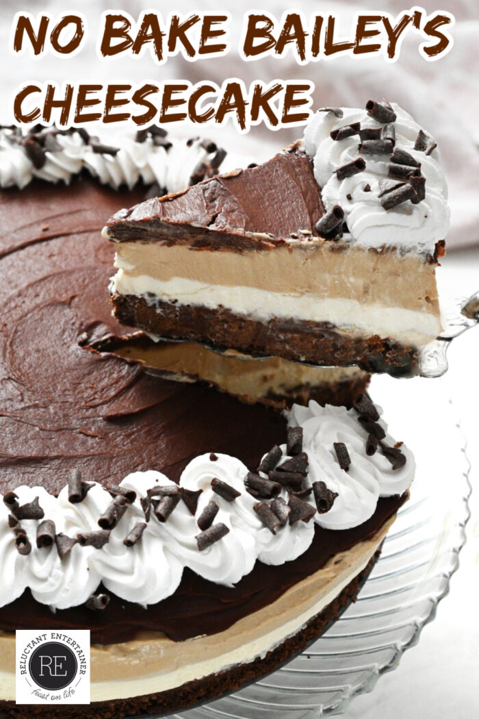 a serving of Bailey's No Bake Cheesecake