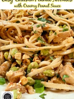 Easy Chicken Peanut Noodles