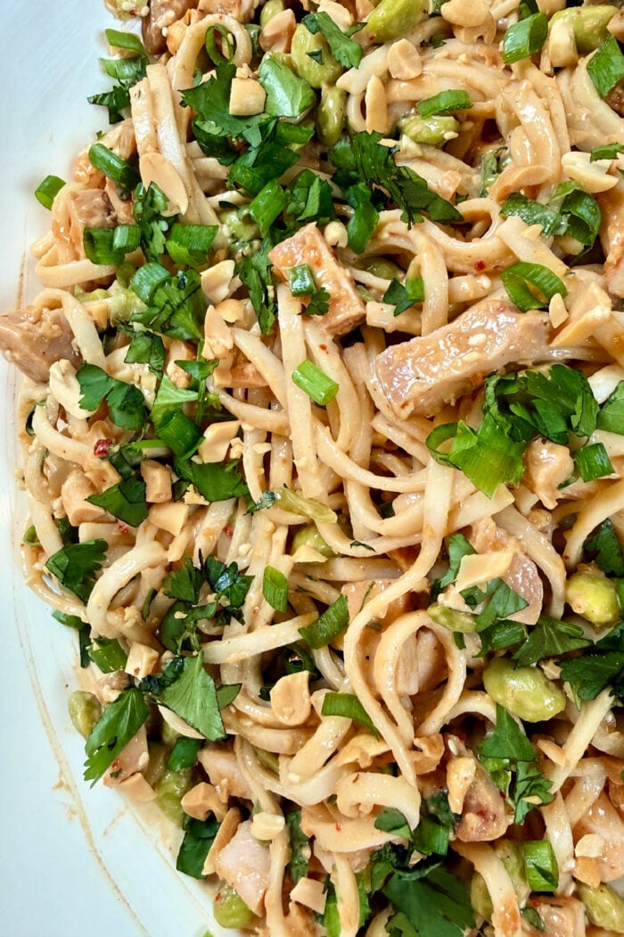 cilantro green onions on noodles